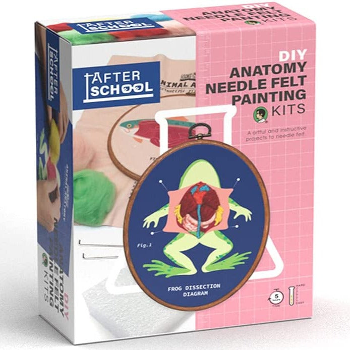 Anatomy Stamp Set – Kikkerland Design Inc