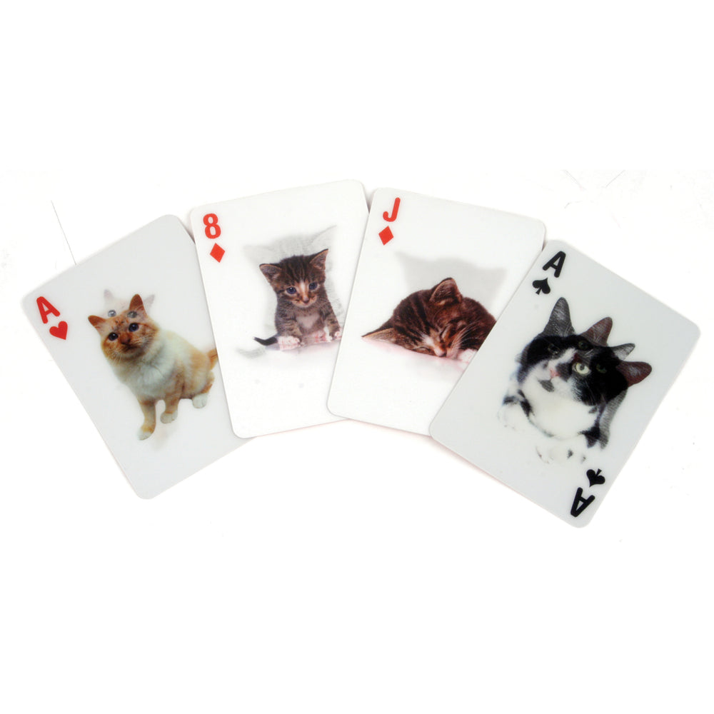 cats playing cards