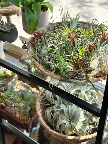 URSA retail air plants