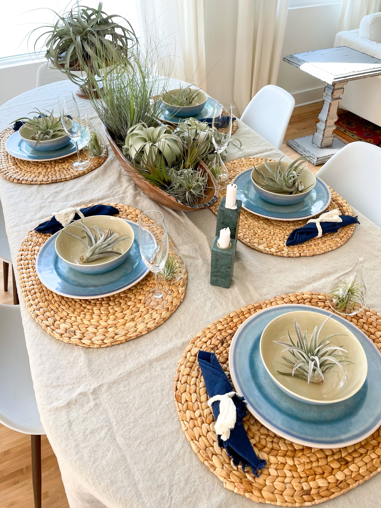 tillandsia air plant table decor