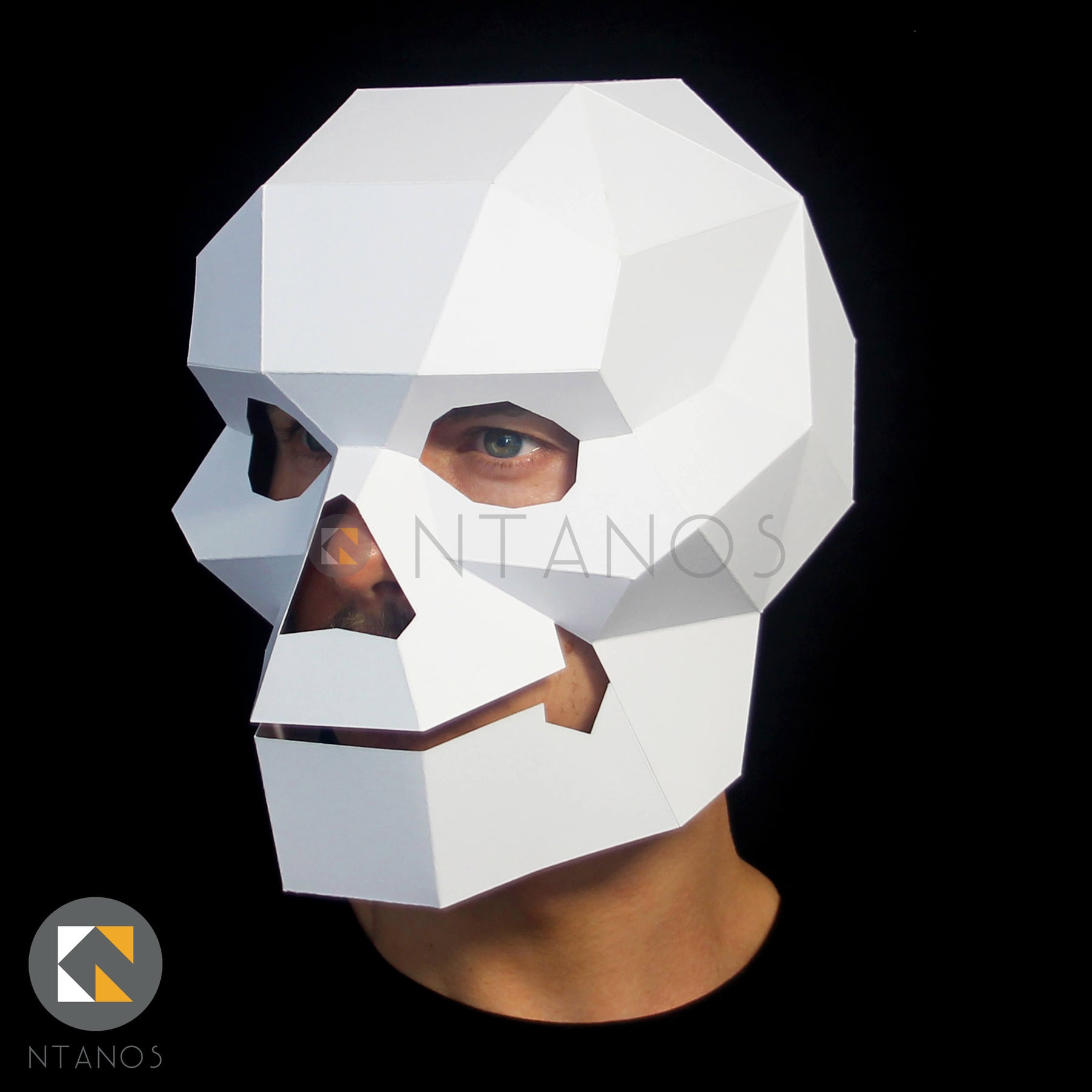 Papercraft Skull Template