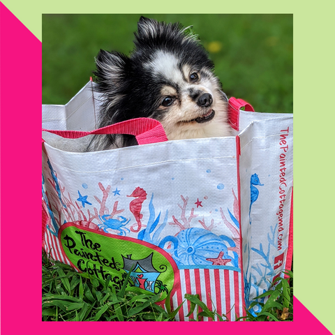 cute pomeranian named pickles in The Painted Cottage shopping bag