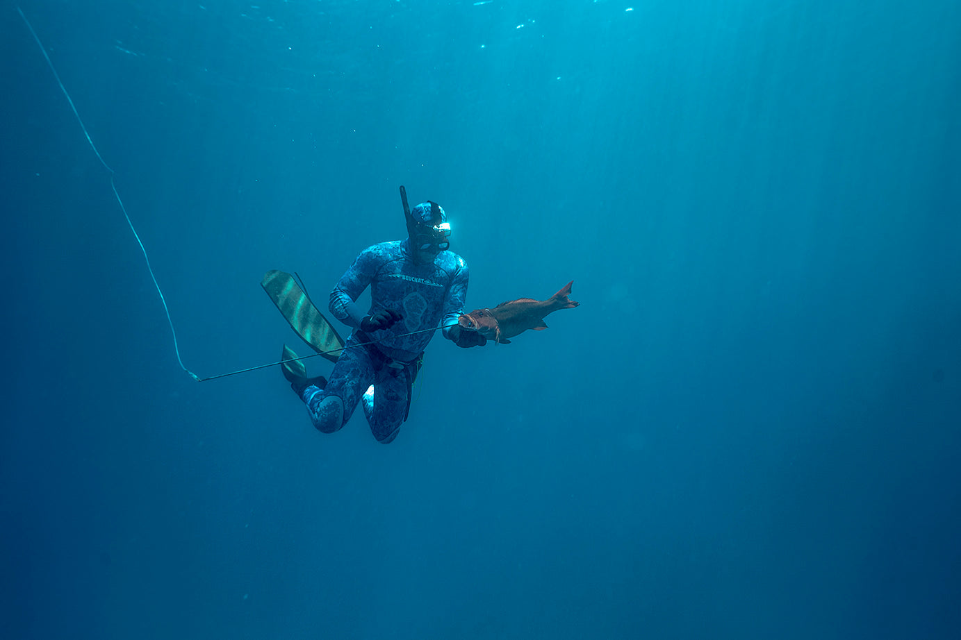 Spearfishing Relaxation