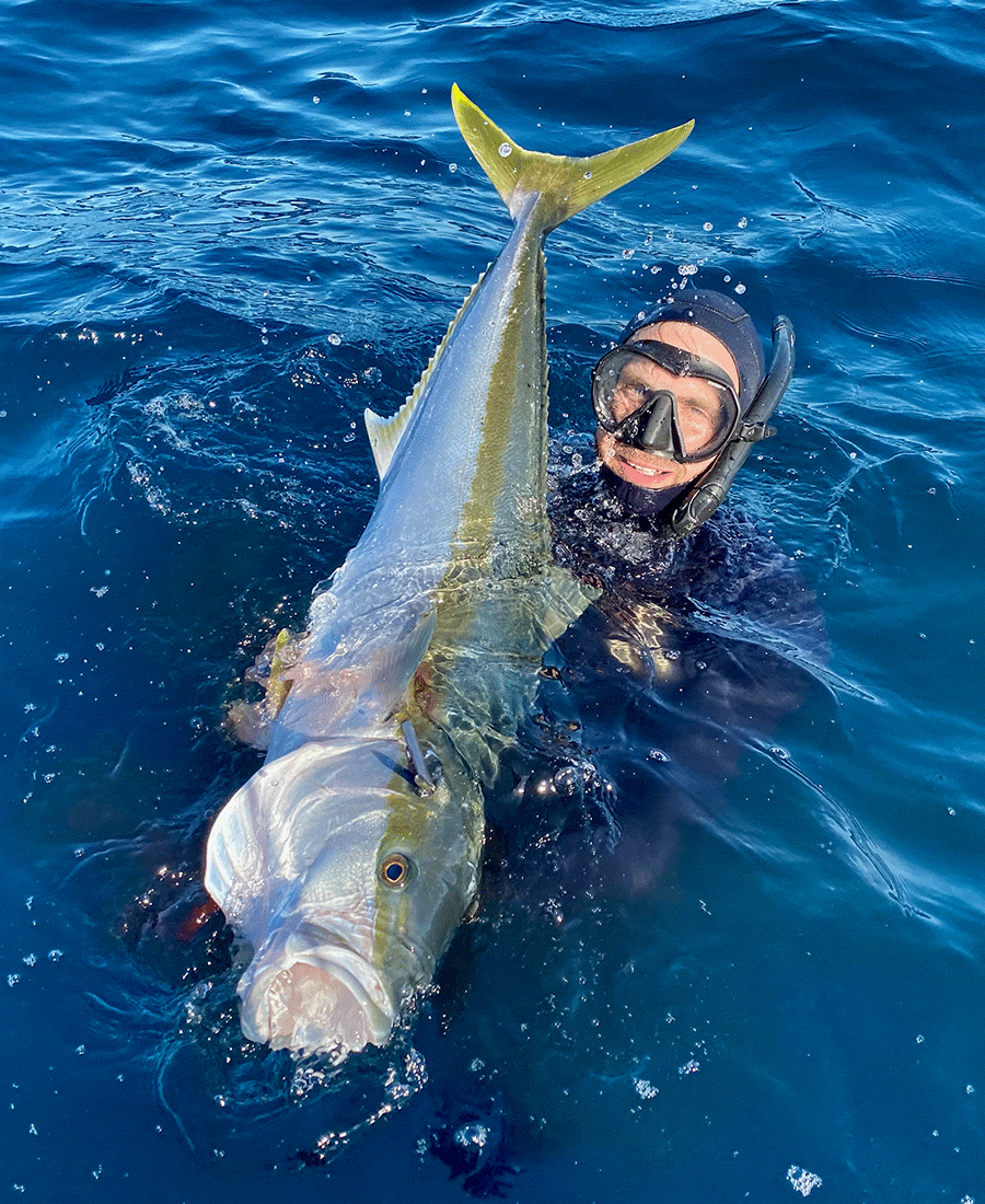 Kingfish Spearfishing Guide - Adreno - Ocean Outfitters