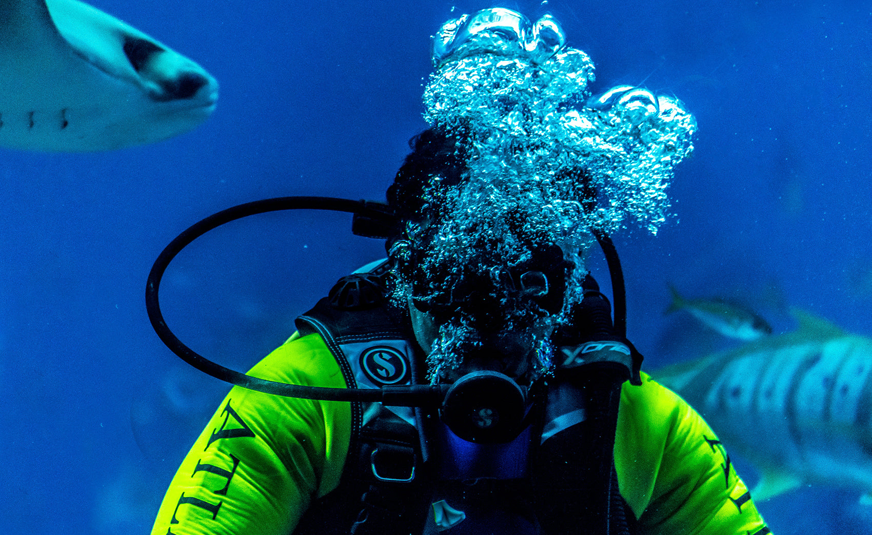 Scuba 2. Дайвинг. Подводные съемки. Подводные съёмки в океане. Подводный мир Кусто.