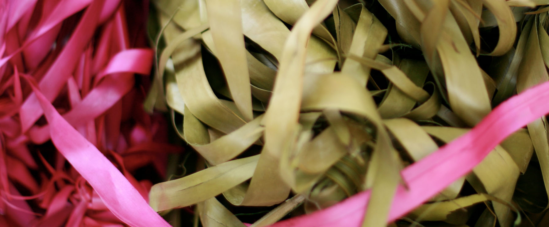 Durabilité de BrunnaCo : Une vue rapprochée des feuilles de lontar teintes à la main utilisées pour les sacs, chapeaux et éventails tissés à la main