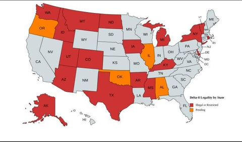 is delta 8 thc legal in my state? searching for where you can buy delta 8 thc online or near me in st pete and st petersburg florida, shop hh outlet online for best delta 8 prices