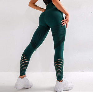 Seamless Fitness Yoga Legging