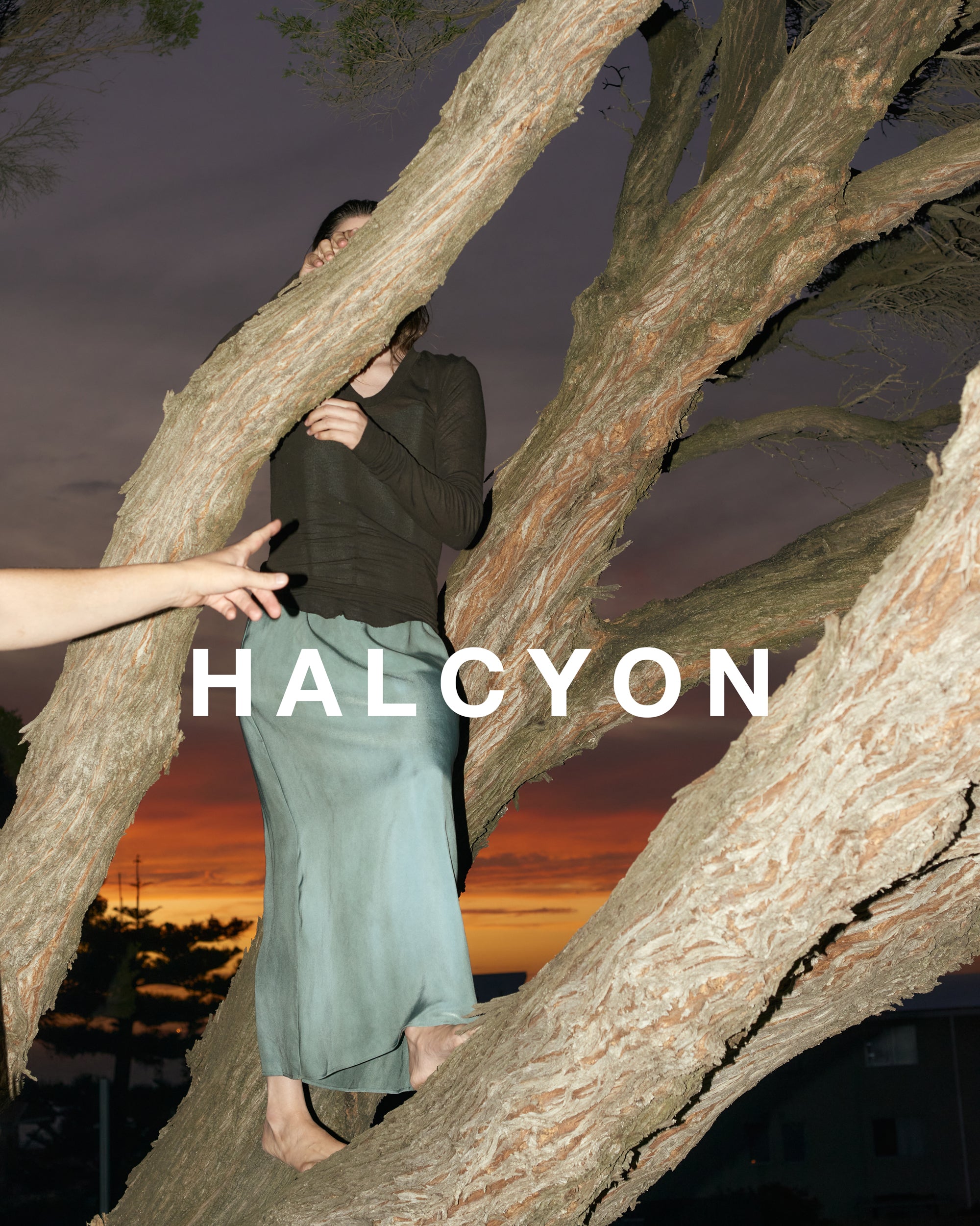 Halcyon Editorial