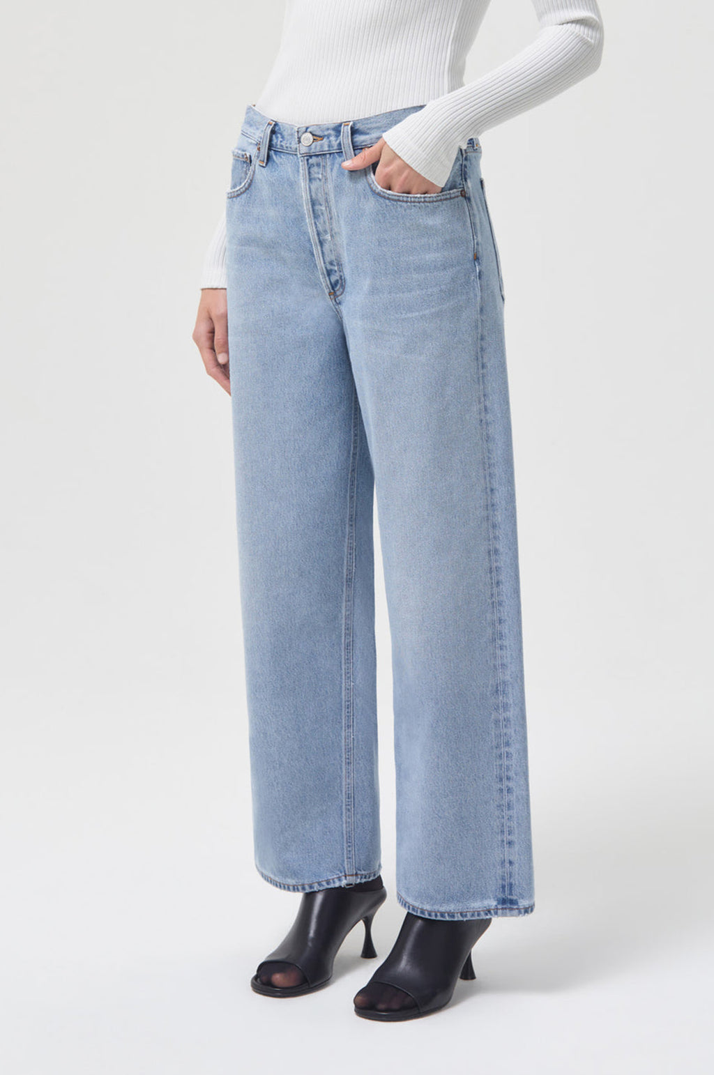 Agolde Low Rise Baggy Jeans in Void – The Hambledon