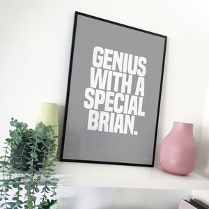 genius brian (grey edition)