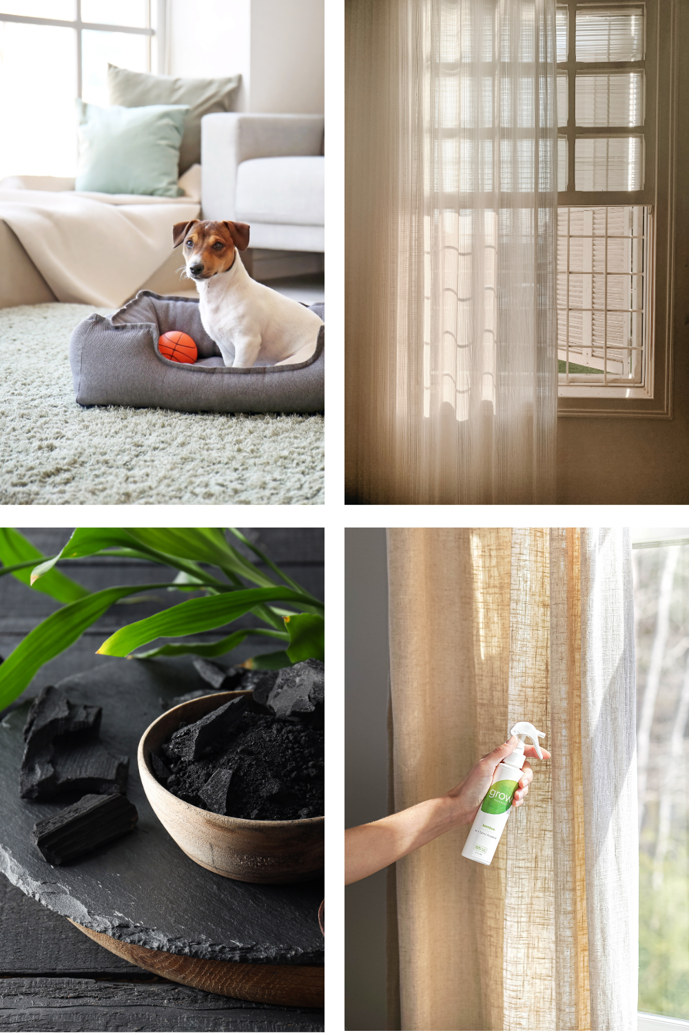 A clean pet's living area, well-ventilated home with open windows and a fan, natural odor absorbers like baking soda and activated charcoal, and pet-friendly air fresheners for a fresh-smelling home