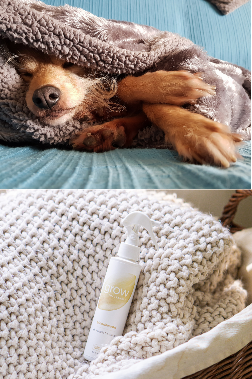 A pet-safe home fragrance from Grow Fragrance, keeping your pets healthy and your home fresh. Consult your vet for small pets like birds and reptiles."