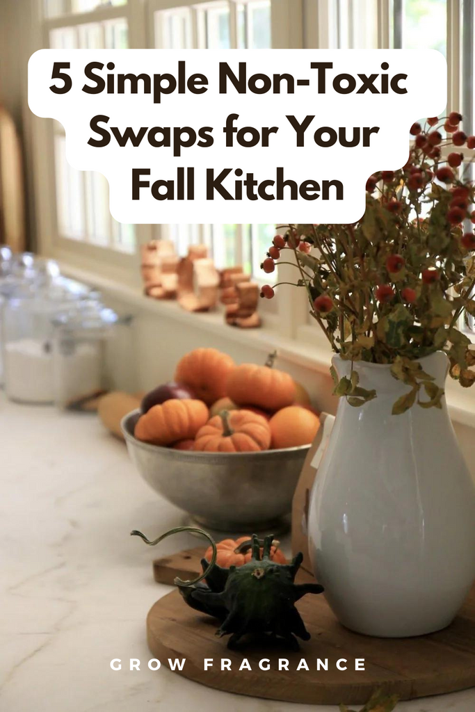 nontoxic kitchen swaps fall kitchen