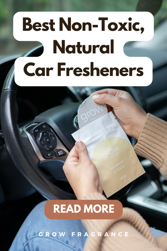 Self-Care Car Air Freshener, Non-Toxic Car Diffuser