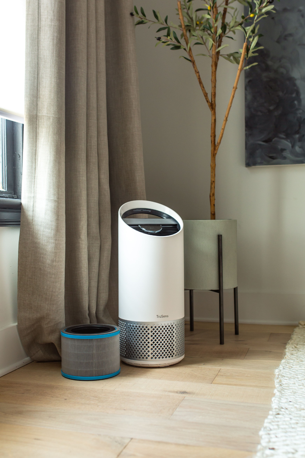 Non-Toxic Air Purifier Enhancing Indoor Air Quality in a Cozy Home Setting with Houseplants and Comfortable Couch