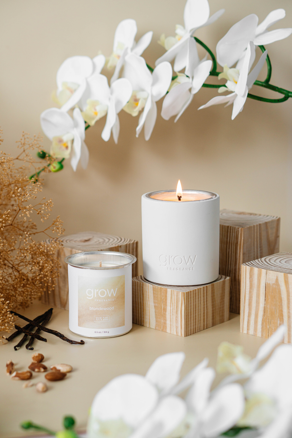 Blondewood Candle in a Cozy Teakwood Setting - A Warm Blend of Vanilla, Shea Butter, Teakwood, and Almonds Surrounded by Abundant Orchards, Perfect for a Relaxing Atmosphere