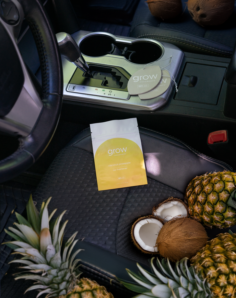 coconut pineapple car freshener