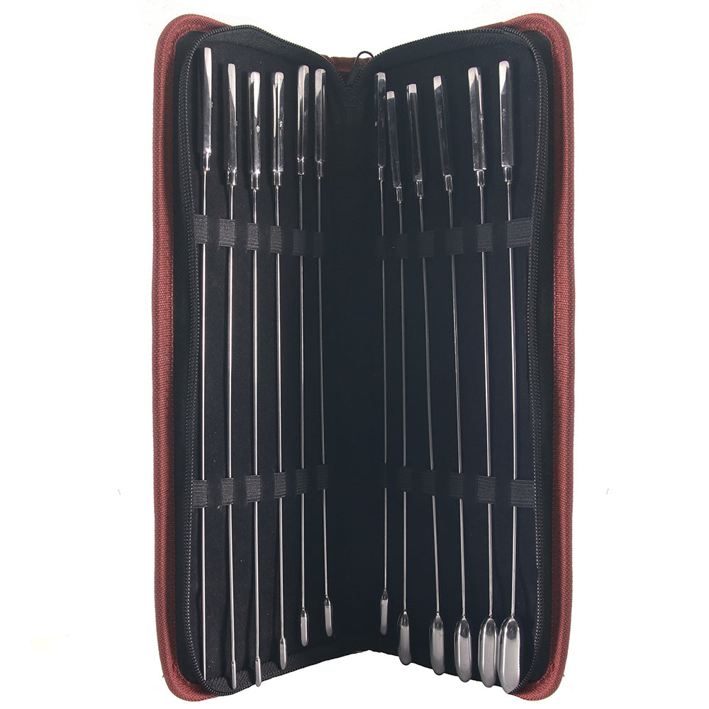 Stainless Steel 12 Pc Rose Bud Sounding Set Shop R