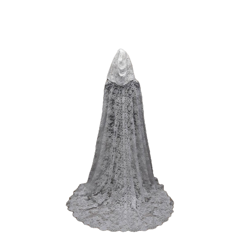 Hooded Lace Cloak Blush Veil Lace Black Cape With Hood Halloween Cape  Halloween Outfit Gothic Wedding White Lace Veil -  Canada