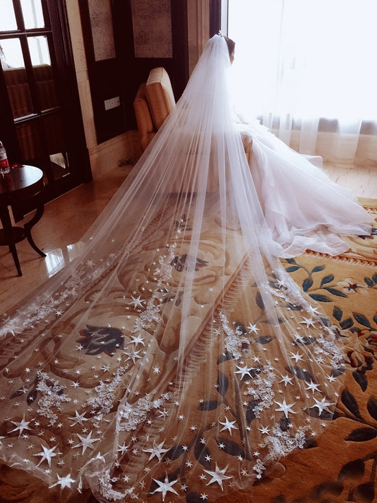 Champagne Bridal Cathedral Wedding Veil with Comb Sequins Appliques Tulle  Veil