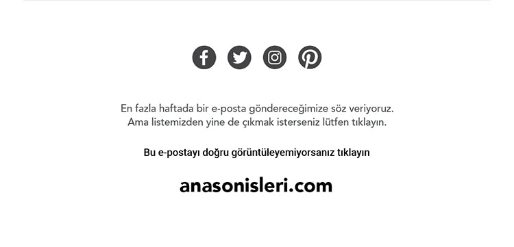 Anason İşleri Rakı Kültürünün Tasarım Ürünleri