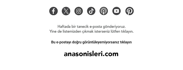 Anason İşleri Rakı Kültürünün Tasarım Ürünleri