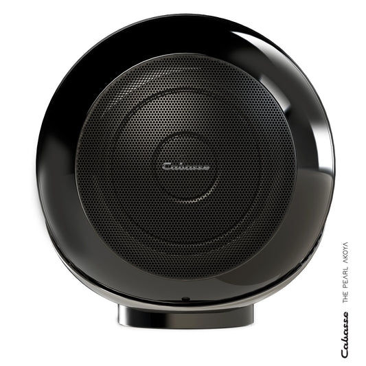 The Swell - a portable high fidelity speaker from Cabasse