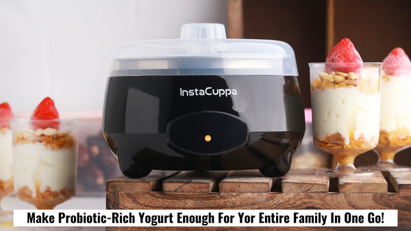 InstaCuppa Curd Maker - Make Probiotic Rich Yogurt For Entire Family In One Go