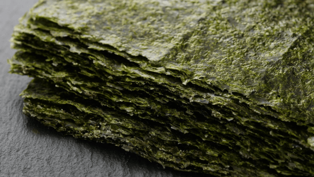 Nori, une algue rouge très riche en protéines