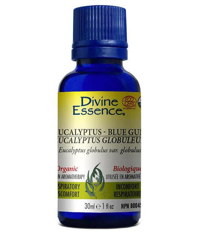 divine essence eucalyptus globuleux