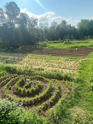 herboristerie la fée des bois