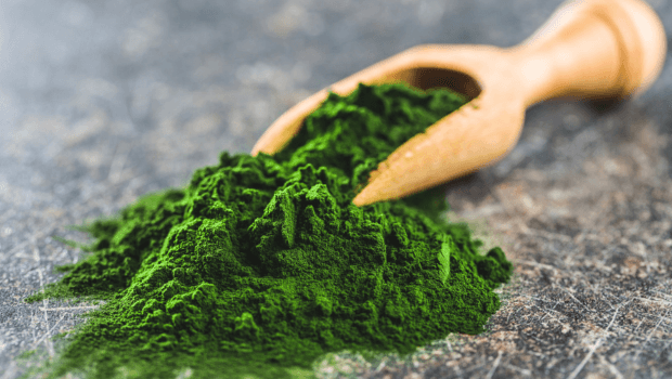 chlorella seaweed