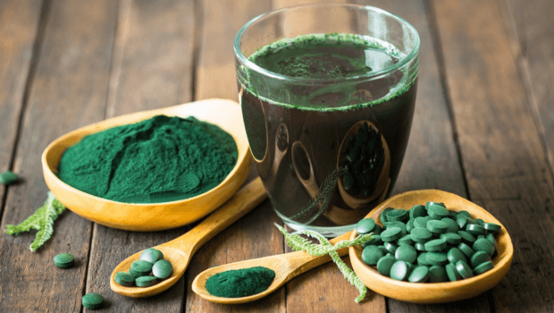 spiruline algue