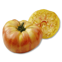 Pineapple tomato