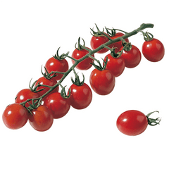 Aperitif tomato
