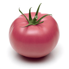 Rose de Berne tomato