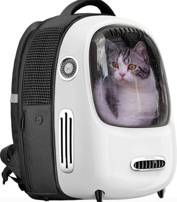 breezy cat carrier