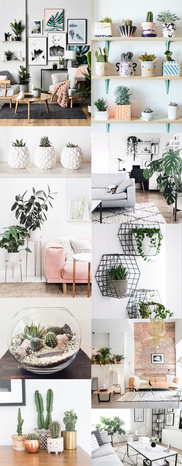 indoorplants