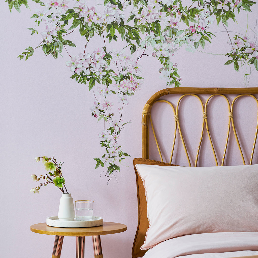 Sian Zeng Clematis Wallpaper in Pink