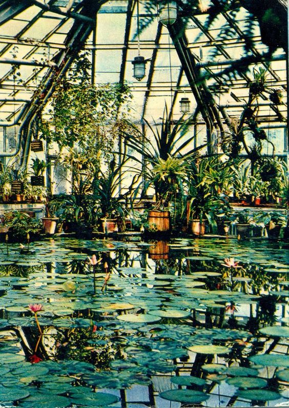 Greenhouse 1