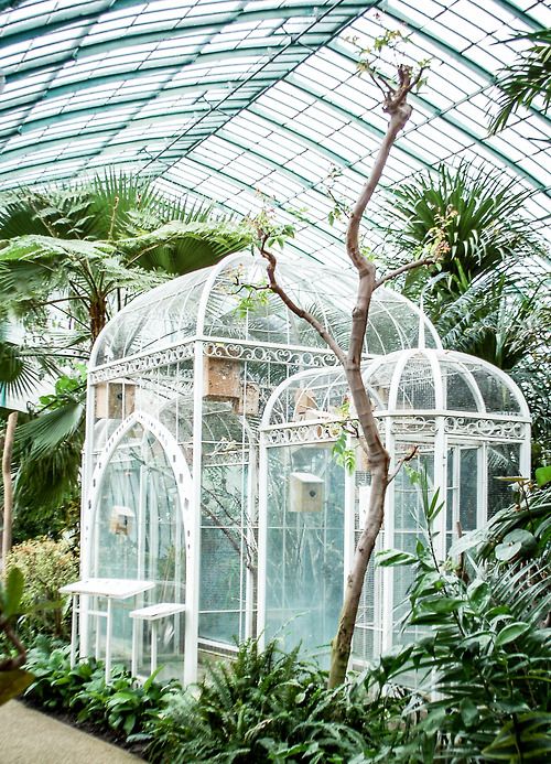 Greenhouse within a greenhouse