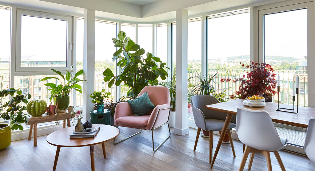 Sian Zengs ljusa och luftiga vardagsrum med Frame Velvet Armchair från MADE