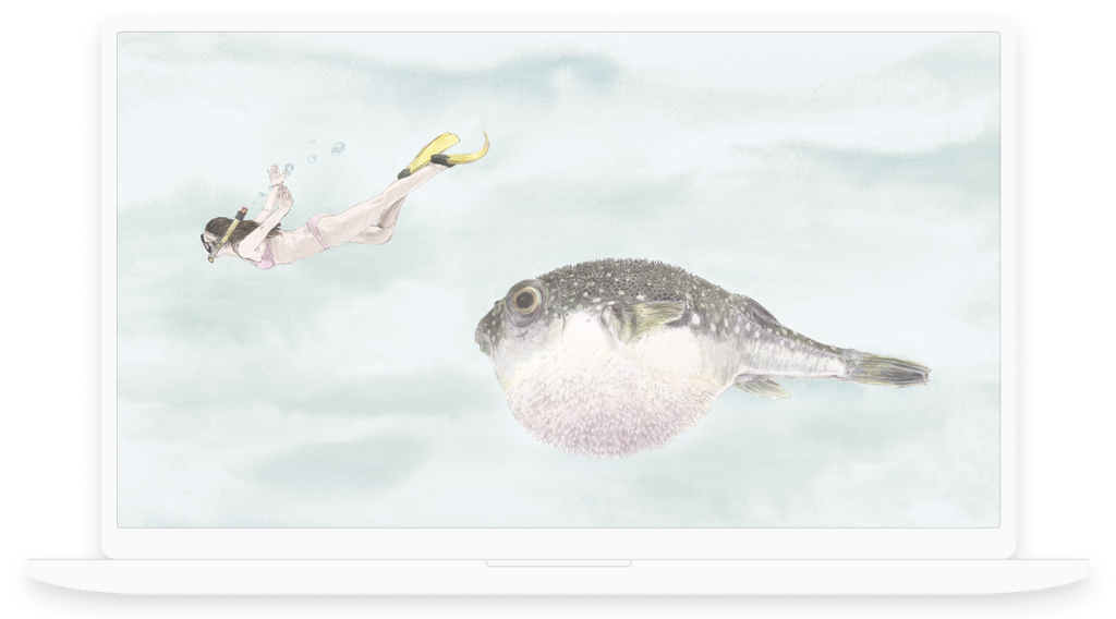 Sian Zeng Fish Wallpaper for desktops