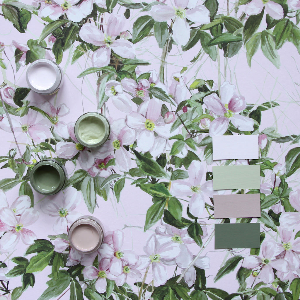 Sian Zeng Clematis Wallpaper in Pink