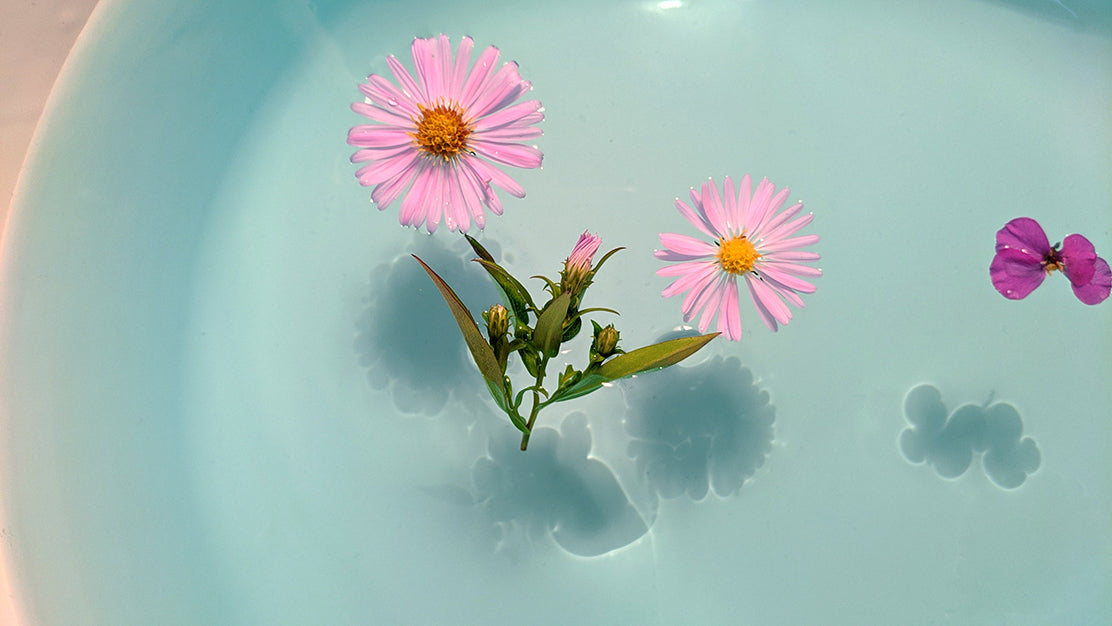 Flowers floating in bathtub with blue water