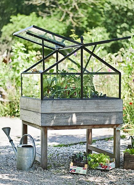 mini greenhouse