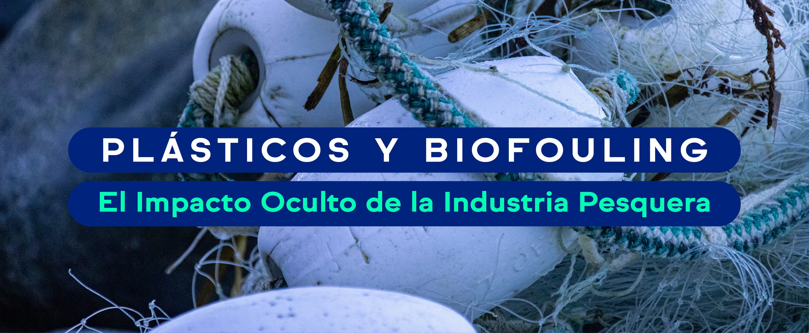 Plásticos y Biofouling El Impacto Oculto de la Industria Pesquera