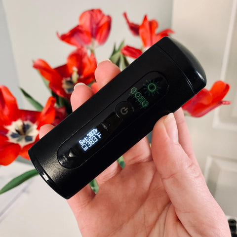 A white female hand is holding the black Ooze Drought Dry Herb Vaporizer in front of a bouquet of red and white flowers. The digital screen is on, and it is held on a slight angle.