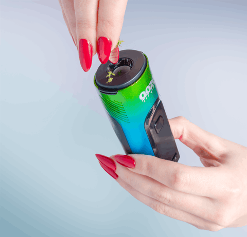 A white girl with long red nails is loading ground herbs into the ceramic chamber of the Ooze Verge dry herb vape.